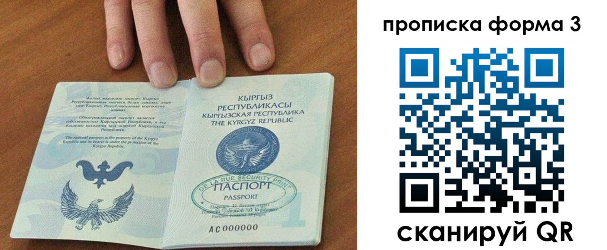 прописка 2025 в Ялте